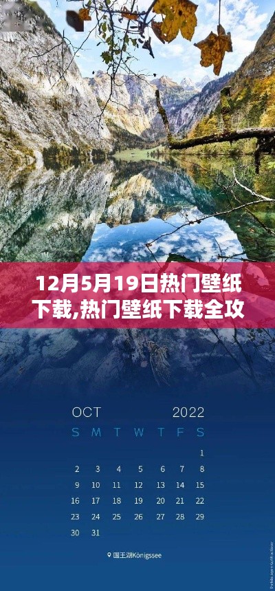 12月5日至19日精选壁纸下载全攻略，步骤详解与热门壁纸下载