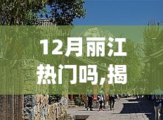 新闻动态 第163页