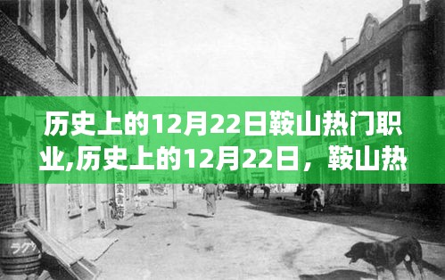 历史上的12月22日鞍山职业风采，热血之路与自信铸就辉煌之路