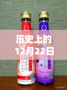 历史上的12月22日特色小店之旅，油品除味剂的传奇与秘境探秘