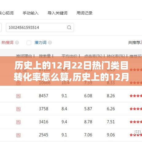历史上的12月22日电商类目转化率的深度解析与计算方式
