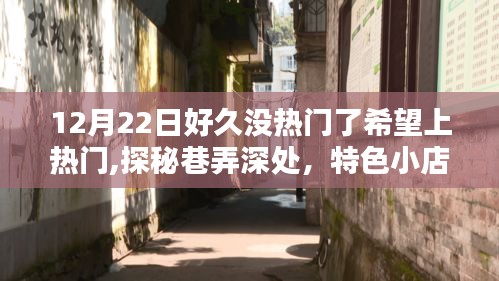 探秘巷弄深处的特色小店，寻找有缘人的热门之选，12月22日期待上榜热门