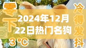 蜎飞蠢动 第2页