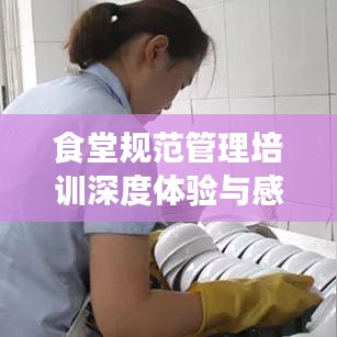 食堂规范管理培训深度体验与感悟