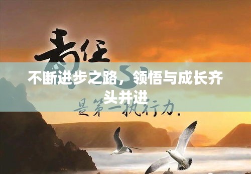不断进步之路，领悟与成长齐头并进