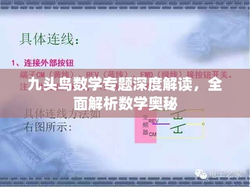 九头鸟数学专题深度解读，全面解析数学奥秘