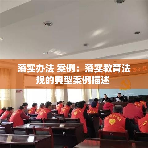 落实办法 案例：落实教育法规的典型案例描述 