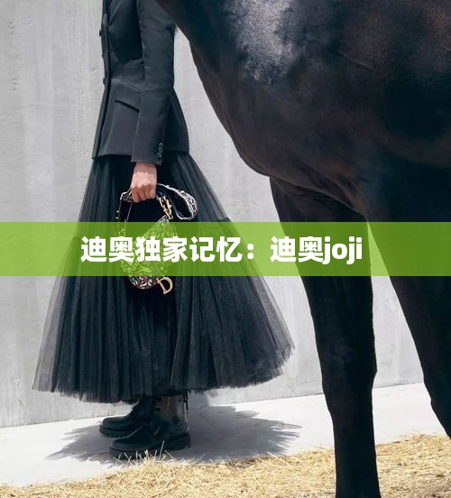 迪奥独家记忆：迪奥joji 
