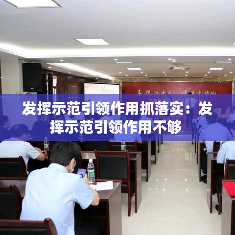 发挥示范引领作用抓落实：发挥示范引领作用不够 