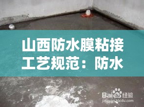 山西防水膜粘接工艺规范：防水涂膜 