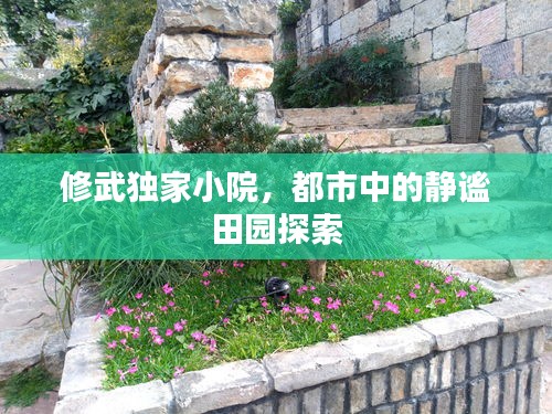 修武独家小院，都市中的静谧田园探索