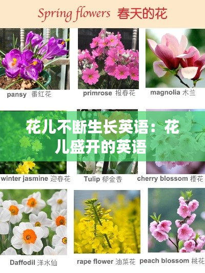 花儿不断生长英语：花儿盛开的英语 