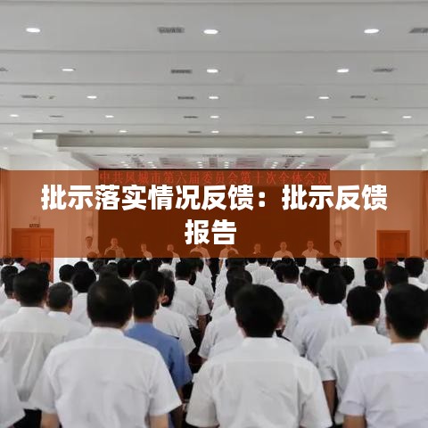 批示落实情况反馈：批示反馈报告 