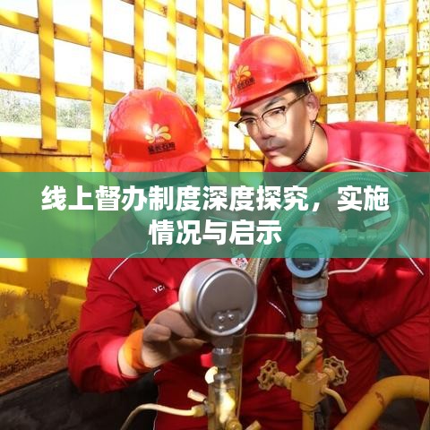 线上督办制度深度探究，实施情况与启示