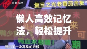 懒人高效记忆法，轻松提升记忆力的秘诀攻略