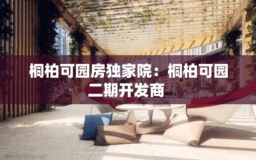 桐柏可园房独家院：桐柏可园二期开发商 