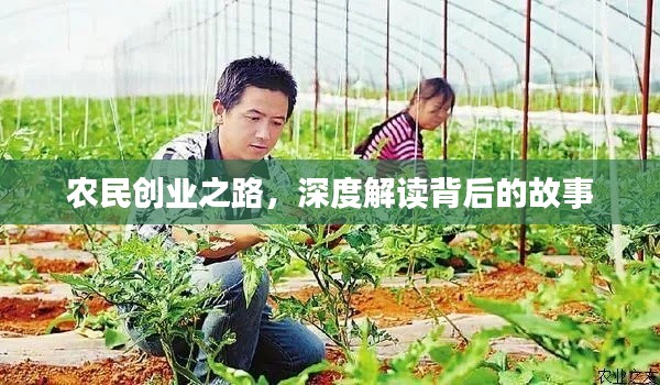 农民创业之路，深度解读背后的故事