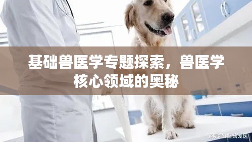 基础兽医学专题探索，兽医学核心领域的奥秘