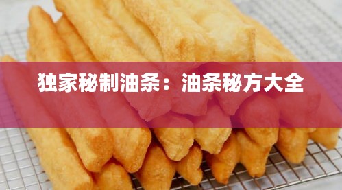 独家秘制油条：油条秘方大全 