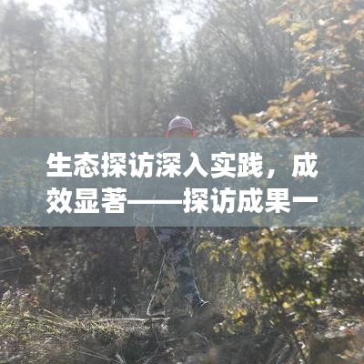 生态探访深入实践，成效显著——探访成果一览