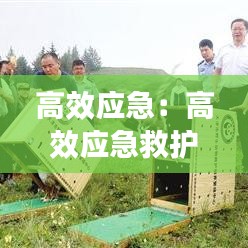 鸟啼花落 第2页