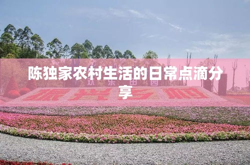 难得可贵 第3页