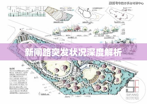 新闸路突发状况深度解析