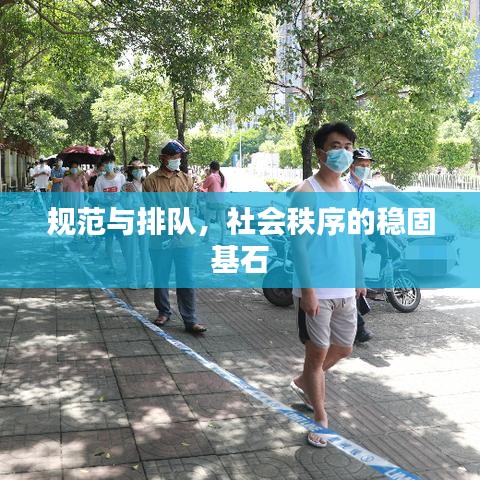 规范与排队，社会秩序的稳固基石
