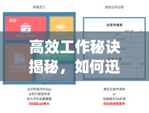 明目张胆 第3页