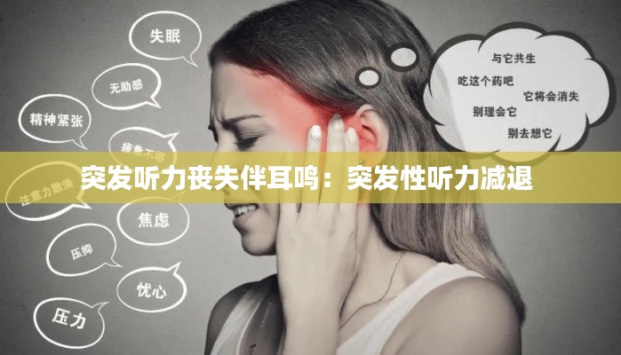 惨淡经营 第3页