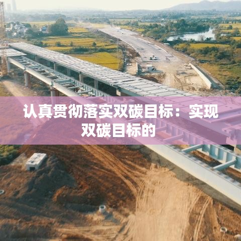 认真贯彻落实双碳目标：实现双碳目标的 