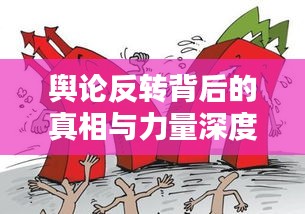 舆论反转背后的真相与力量深度探究