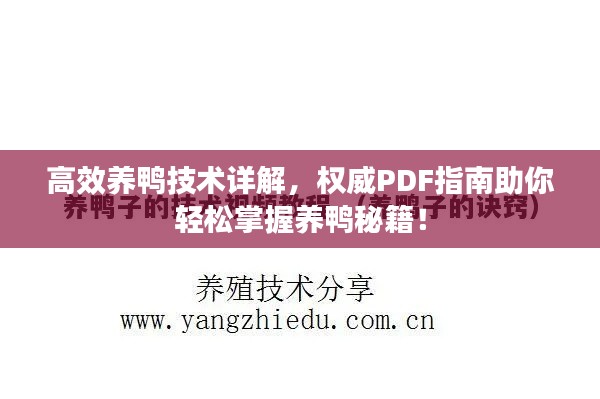 高效养鸭技术详解，权威PDF指南助你轻松掌握养鸭秘籍！