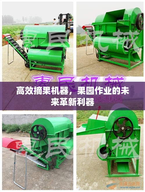 高效摘果机器，果园作业的未来革新利器