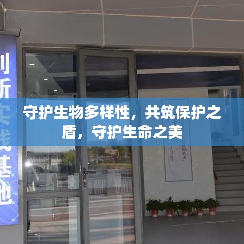 雍容雅步 第2页