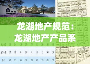 龙湖地产规范：龙湖地产产品系列 