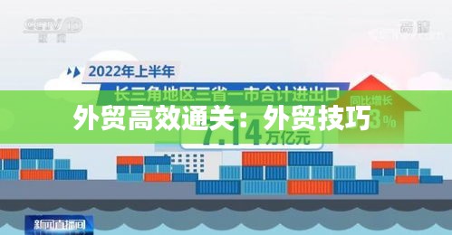 外贸高效通关：外贸技巧 