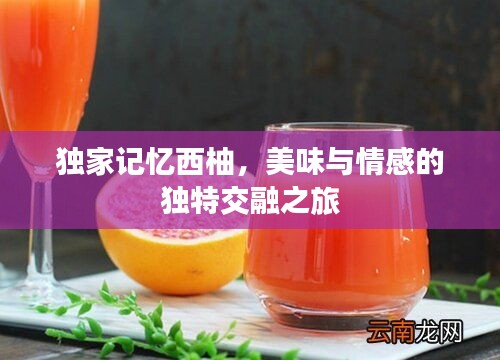 独家记忆西柚，美味与情感的独特交融之旅