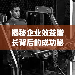 揭秘企业效益增长背后的成功秘诀，企业成功之路图解析