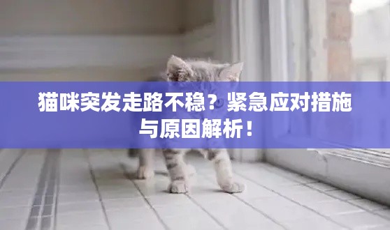 资料下载 第153页