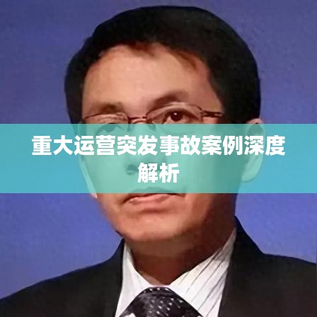重大运营突发事故案例深度解析