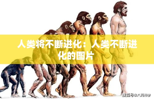 人类将不断进化：人类不断进化的图片 