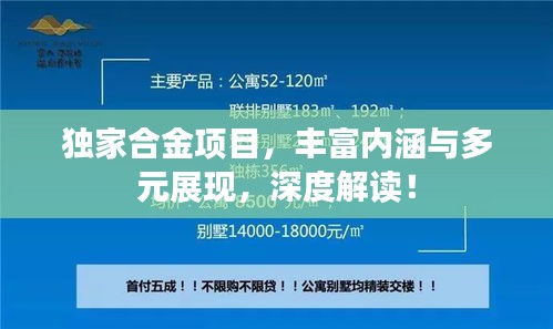 独家合金项目，丰富内涵与多元展现，深度解读！