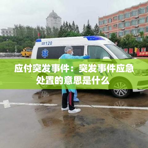 应付突发事件：突发事件应急处置的意思是什么 