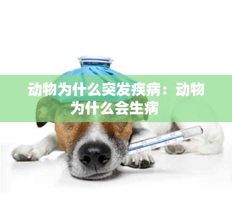 动物为什么突发疾病：动物为什么会生病 
