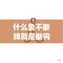 什么鱼不断线就是断钩了：什么鱼线鱼咬不断 