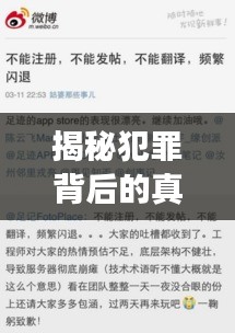 揭秘犯罪背后的真相，抓码王独家爆料