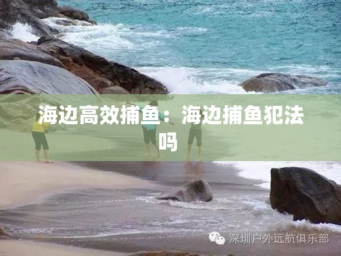 海边高效捕鱼：海边捕鱼犯法吗 
