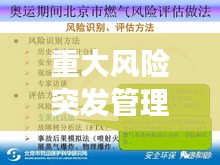重大风险突发管理：重大突发事件风险评估体系 