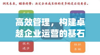 高效管理，构建卓越企业运营的基石之道
